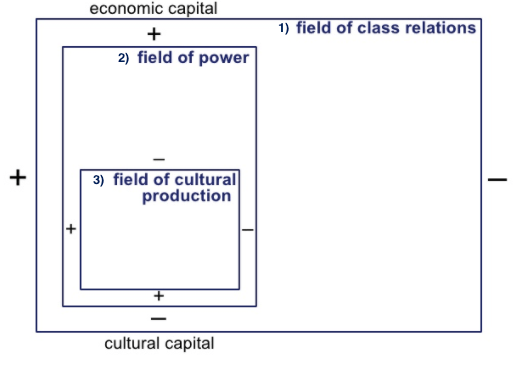 field of cultural producyion